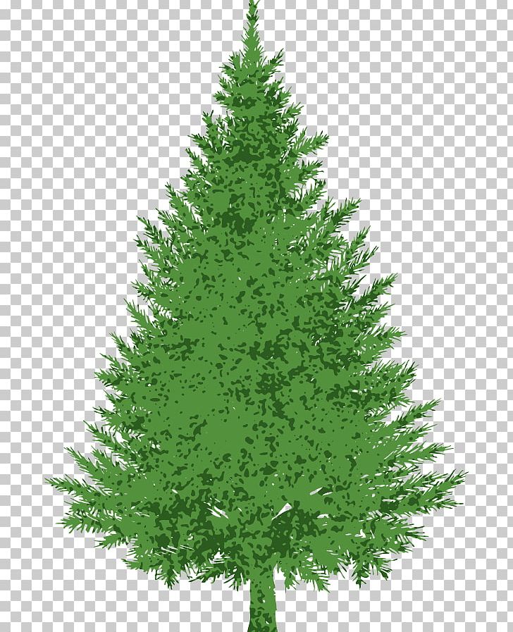 Evergreen Pine PNG, Clipart, Biome, Christmas Decoration, Christmas Ornament, Christmas Tree, Com Free PNG Download