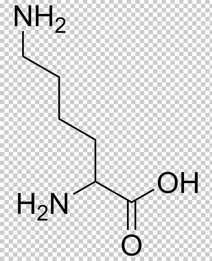 Isoleucine Branched-chain Amino Acid Essential Amino Acid PNG, Clipart, Acid, Amino, Amino Acid, Angle, Area Free PNG Download