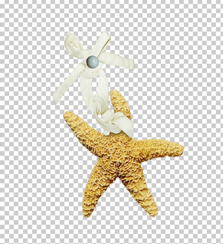Jewellery Clothing Accessories Suit Starfish PNG, Clipart, 2016, Chain, Clothing, Clothing Accessories, Dress Free PNG Download