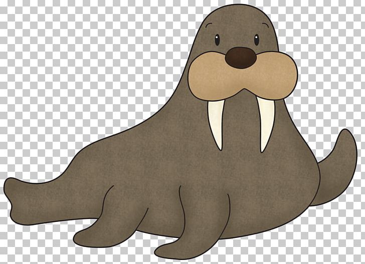 Walrus Sea Lion PNG, Clipart, Animal, Animals, Beak, Carnivoran, Clip Art Free PNG Download