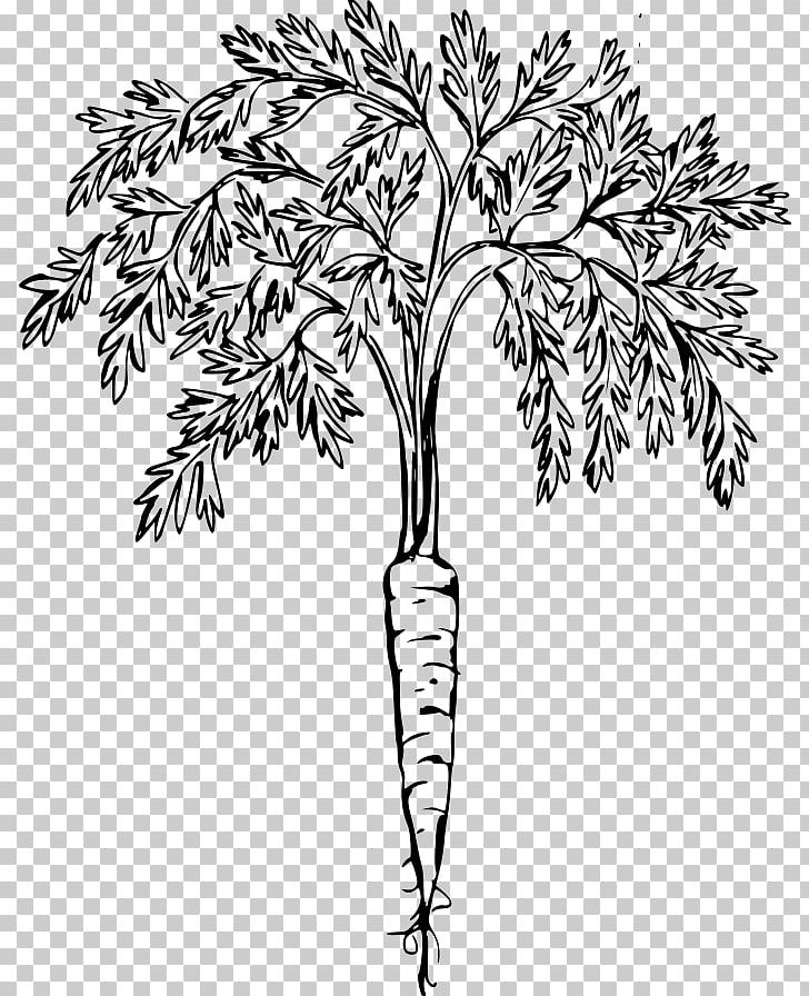 Carrot Cake PNG, Clipart, Black And White, Branch, Carrot, Carrot Cake, Download Free PNG Download