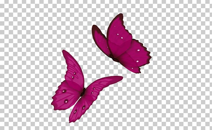 Animated Film Rose Butterfly PNG, Clipart, Animated Film, Blingee, Blog, Butterfly, Desktop Wallpaper Free PNG Download
