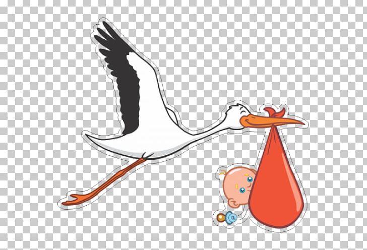 White Stork Infant PNG, Clipart, Baby, Beak, Bird, Cartoon, Ciconia Free PNG Download