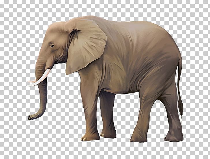 Asian Elephant PNG, Clipart, African Elephant, Animal, Animal Figure, Animals, Animation Free PNG Download