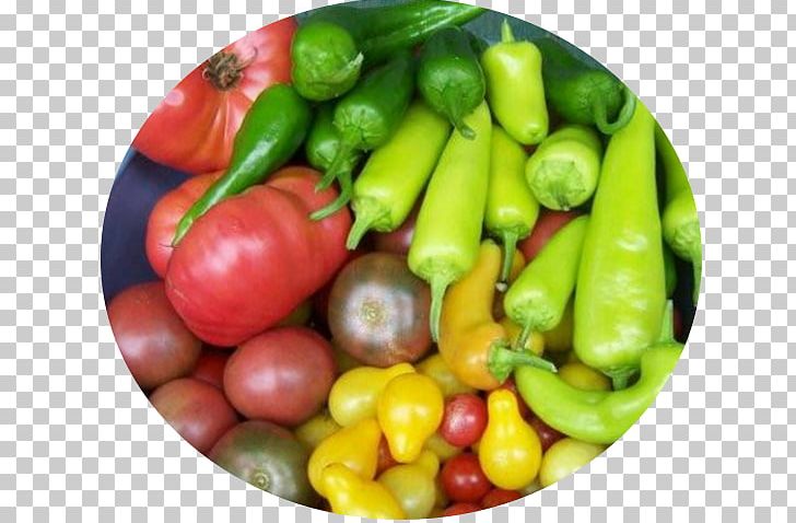 Habanero Serrano Pepper Bird's Eye Chili Community Gardening Vegetarian Cuisine PNG, Clipart,  Free PNG Download