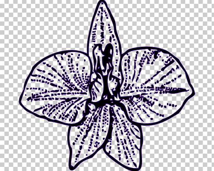 Larkspur Drawing PNG, Clipart, Artwork, Black And White, Butterfly, Download, Drawing Free PNG Download
