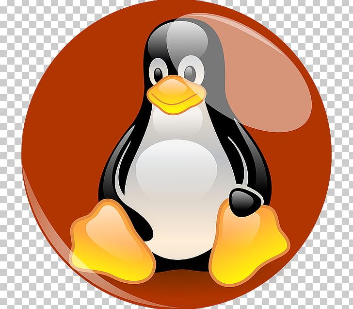Linux Distribution Penguin Computer Software Tux PNG, Clipart, Beak, Bird, Computer Icons, Computer Software, Flightless Bird Free PNG Download