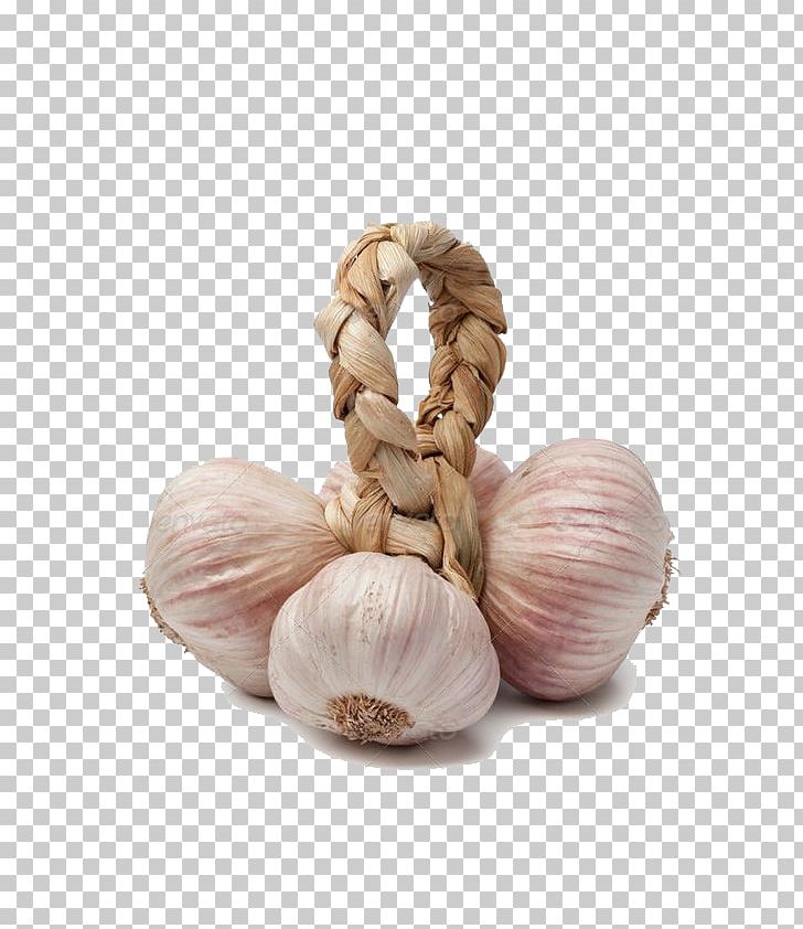 Garlic Shallot Stock Photography Advertising PNG, Clipart, Advertising Design Elements, Alamy, Cartoon Garlic, Chili Garlic, Condiment Free PNG Download