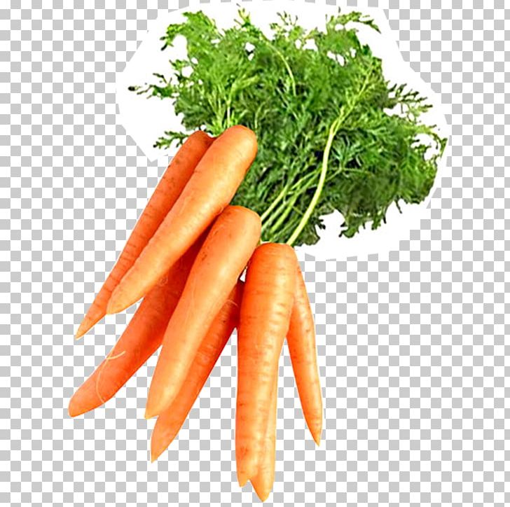 Juice Carrot Root Vegetables Carotene PNG, Clipart, Baby Carrot, Carotene, Carrot, Carrot Juice, Cuisine Free PNG Download