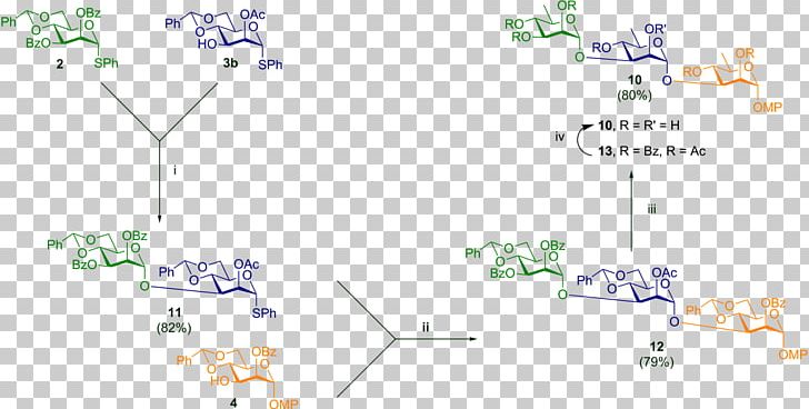 Line Point Angle PNG, Clipart, Angle, Area, Art, Diagram, Glycosylation Free PNG Download