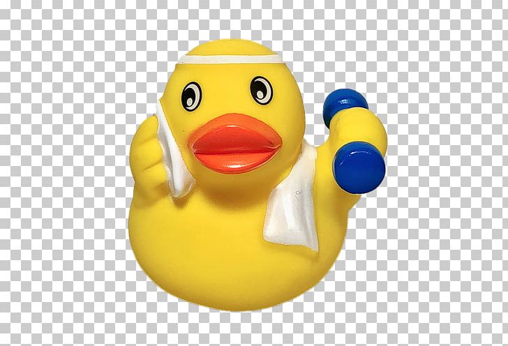 Rubber Duck Natural Rubber Toy Material PNG, Clipart, Animals, Beak, Bird, Discounts And Allowances, Diving Snorkeling Masks Free PNG Download
