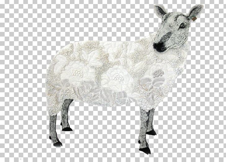 Sheep Cattle Goat Horn Animal PNG, Clipart, Animal, Animal Figure, Animals, Cattle, Cow Goat Family Free PNG Download