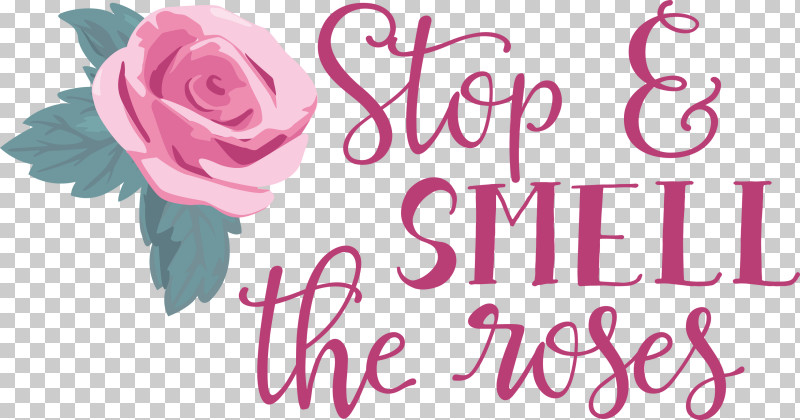 Rose Stop And Smell The Roses PNG, Clipart, Cut Flowers, Floral Design, Flower, Garden, Garden Roses Free PNG Download