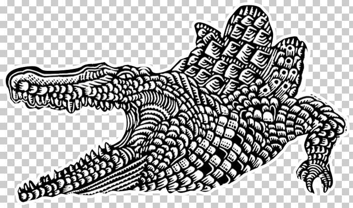 Crocodiles Alligators Animal Drawing PNG, Clipart, Alligators, Animal, Animals, Art, Artwork Free PNG Download