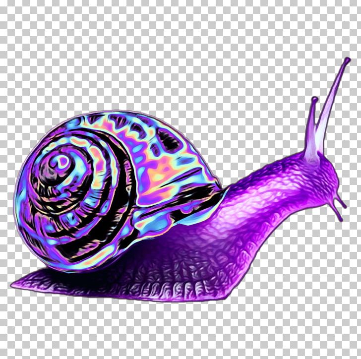 Giant African Snail Harlequin Orthogastropoda Garden Snail PNG, Clipart, Achatina, Achatina Achatina, Animals, Fish, Gastropods Free PNG Download