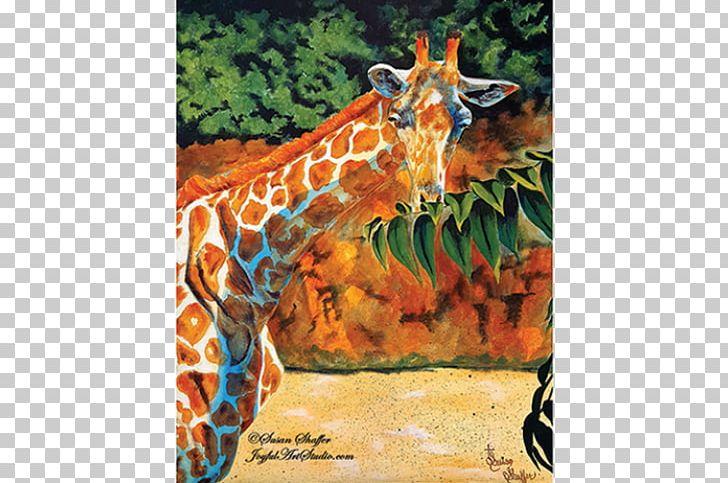 Giraffe Okapi IPhone 4S Rigby IPhone 5 PNG, Clipart, Animal, Animals, Bactrian Camel, Camel, Fauna Free PNG Download