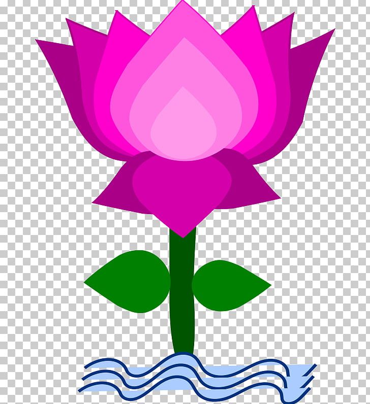 Nelumbo Nucifera Free Content PNG, Clipart, Blog, Cartoon, Computer Icons, Cut Flowers, Download Free PNG Download