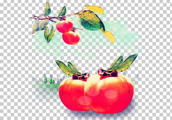 Persimmon ICO Fruit Icon PNG, Clipart, Apple, Apple Icon Image Format, Csssprites, Diet Food, Download Free PNG Download