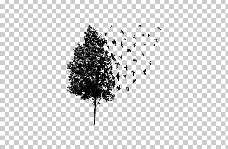 PicsArt Photo Studio Editing Drawing PNG, Clipart, Black And White, Branch, Download, Drawing, Editing Free PNG Download
