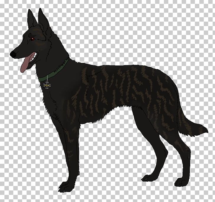 Dog Breed Tervuren Belgian Shepherd Australian Kelpie Kunming Wolfdog PNG, Clipart, Australian Kelpie, Belgian Shepherd, Black Wolf, Breed, Carnivoran Free PNG Download