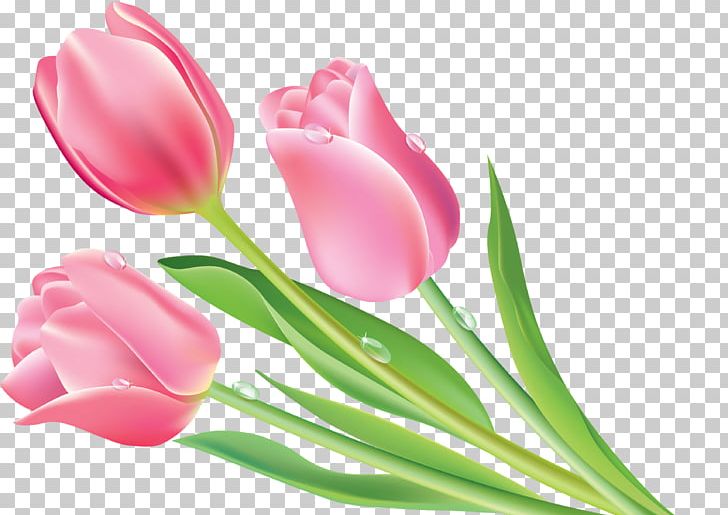 Graphic Design Flower PNG, Clipart, Bud, Cut Flowers, Floral Design, Flower, Flowering Plant Free PNG Download