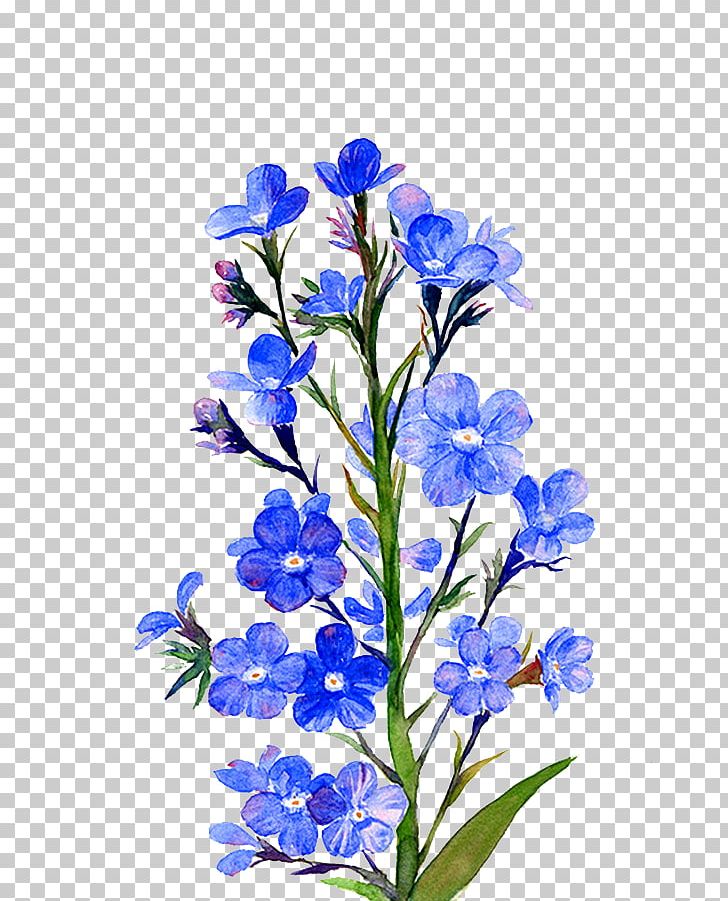 Yashiro Isana Graphics Flower PNG, Clipart, Art, Artist, Blue, Branch, Bts Free PNG Download