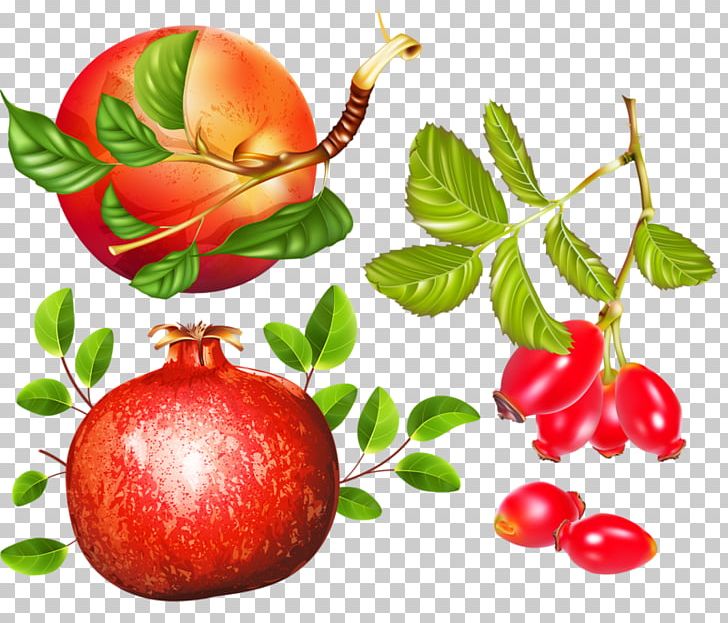 Apple Herb Pomegranate PNG, Clipart, Apple Fruit, Apple Logo, Apples, Apple Tree, Basket Of Apples Free PNG Download