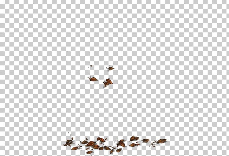 Insect Line Point Sky Plc Font PNG, Clipart, Animals, Ariel Fathrer, Branch, Branching, Insect Free PNG Download