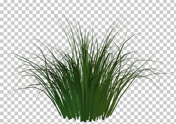 Artificial Turf Carpet Plant AstroTurf PNG, Clipart, Aquarium Decor, Art, Artificial Turf, Astroturf, Branch Free PNG Download