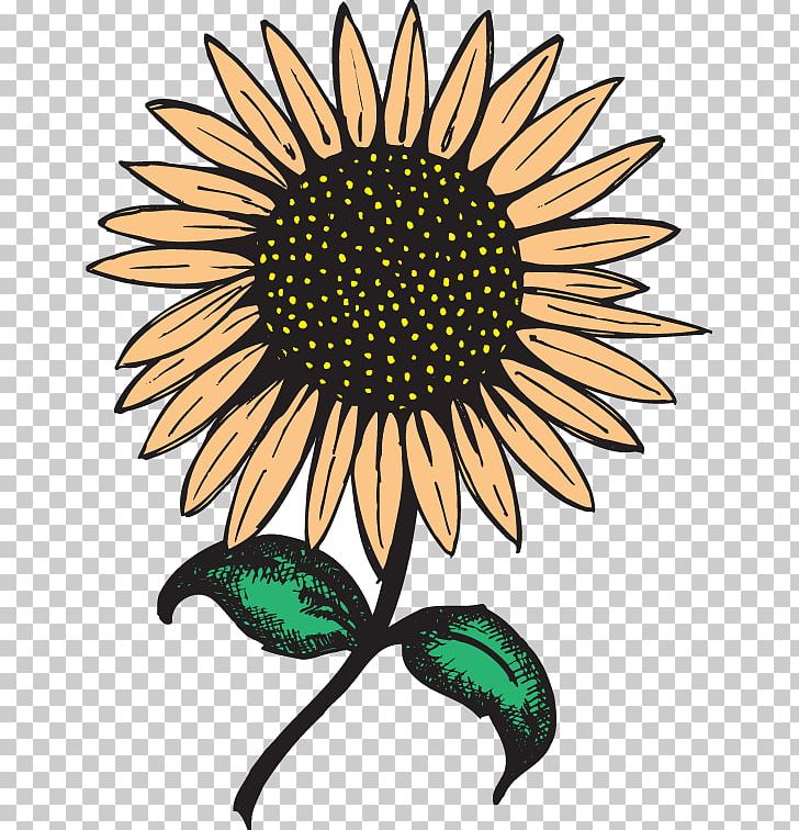 Common Sunflower Jerusalem Artichoke Food Web PNG, Clipart, Daisy, Daisy Family, Email, Flower, Flowers Free PNG Download