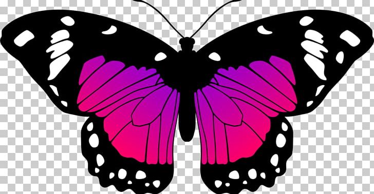 Monarch Butterfly Black And White Drawing PNG, Clipart, Animal, Art, Arthropod, Black And White, Brush Footed Butterfly Free PNG Download