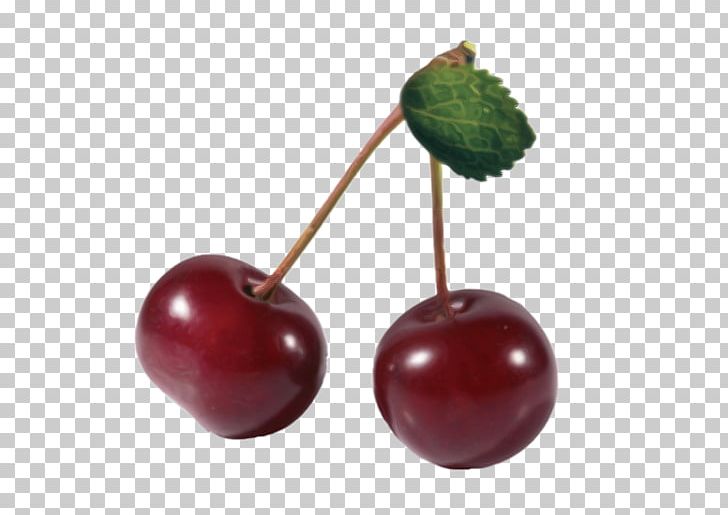 Sour Cherry Cerasus Fruit PNG, Clipart, Auglis, Berry, Cerasus, Cherry, Chocolate Free PNG Download