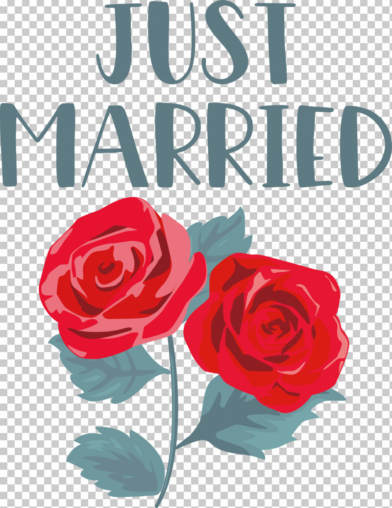 Just Married Wedding PNG, Clipart, Cabbage Rose, Cut Flowers, Floral Design, Floribunda, Flower Free PNG Download