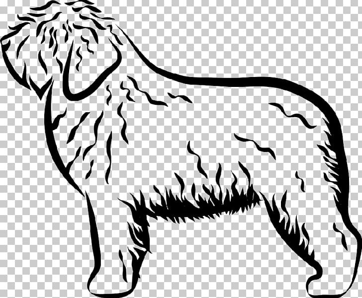 Dog Breed Puppy Sporting Group Retriever Portuguese Water Dog PNG, Clipart, Animals, Barbet Dog, Black And White, Carnivoran, Clumber Spaniel Free PNG Download
