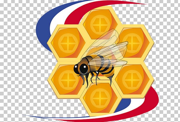 Honey Bee Honeycomb PNG, Clipart, Arthropod, Bee, Encapsulated Postscript, Honey, Honey Bee Free PNG Download