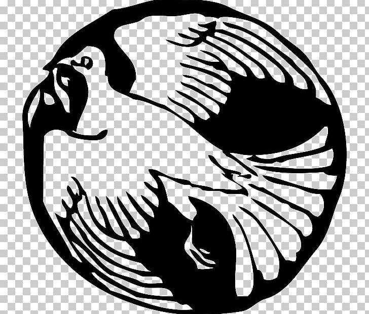 Columbidae Line Art PNG, Clipart, Artwork, Beak, Bird, Black, Black And White Free PNG Download