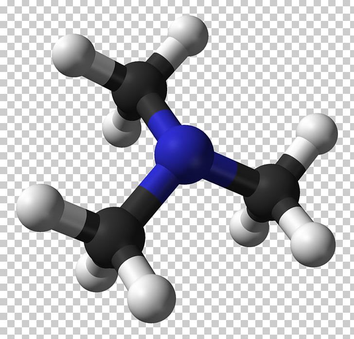 Trimethylamine Odor Cadaverine PNG, Clipart, Amine, Angle, Cadaverine, Chemical Compound, Chemical Structure Free PNG Download