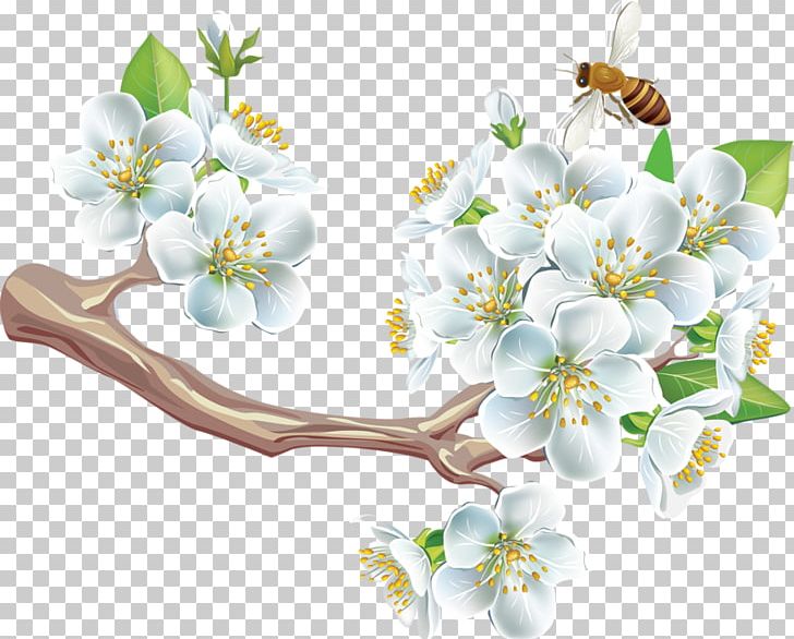 Adobe Acrobat PDF PNG, Clipart, Bahce Resimleri, Blossom, Branch, Buket Resimleri, Cherry Blossom Free PNG Download