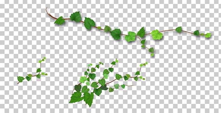 Branch Leaf Tree PNG, Clipart, Branch, Christmas Tree, Coconut Tree, Download, Encapsulated Postscript Free PNG Download