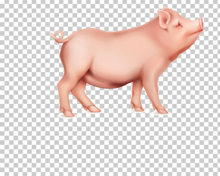 Domestic Pig Stock Illustration Illustration PNG, Clipart, Animal, Cartoon, Computer Icons, Domestic Pig, Encapsulated Postscript Free PNG Download