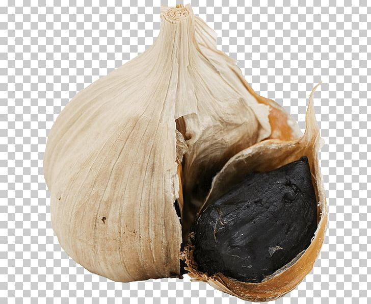 Elephant Garlic （株）ＴＡＫＫＯ商事 Garlic Bread Ajoene PNG, Clipart, Ajoene, Cuisine, Eating, Elephant Garlic, Food Free PNG Download