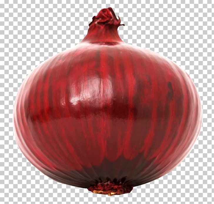Red Onion White Onion Vegetable Yellow Onion PNG, Clipart, Christmas Ornament, Food, Garlic, Image File Formats, Onion Free PNG Download