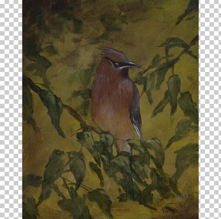 Watercolor Painting Cedar Waxwing Beak Art Museum PNG, Clipart, Art, Art Museum, Beak, Bird, Branch Free PNG Download