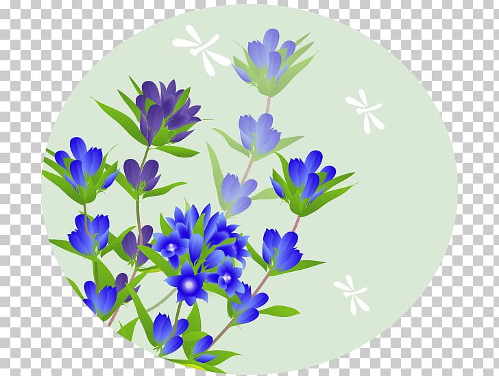 Autumn Higan Gentiana Scabra 四季 Tsukimi PNG, Clipart, Autumn, Blue, Bon Festival, Flower, Flowering Plant Free PNG Download