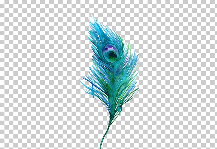 Bird Watercolor Painting Feather Peafowl PNG, Clipart, Animals, Aqua, Art, Asiatic Peafowl, Bird Free PNG Download