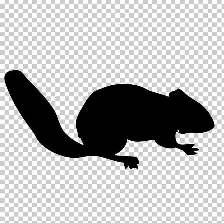 Chipmunk Squirrel Animal Silhouettes PNG, Clipart, Animals, Animal Silhouettes, Black And White, Carnivoran, Chipmunk Free PNG Download