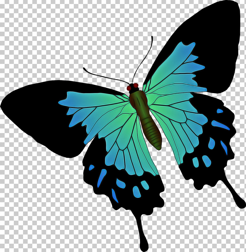 Monarch Butterfly PNG, Clipart, Birdwing, Brushfooted Butterflies, Butterflies, Caterpillar, Common Blue Free PNG Download