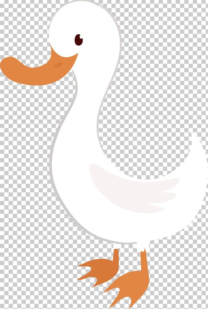 Duck American Pekin Cygnini PNG, Clipart, American Pekin, Animals, Area, Beak, Bird Free PNG Download