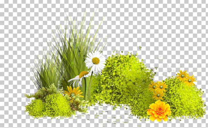 Portable Network Graphics Painting GIF PNG, Clipart, Art, Blog, Chamaemelum Nobile, Computer Wallpaper, Daisy Free PNG Download
