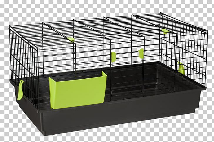 Cage Guinea Pig Dwarf Rabbit European Rabbit PNG, Clipart, Animals, Aviary, Budynek Inwentarski, Cage, Dwarf Rabbit Free PNG Download